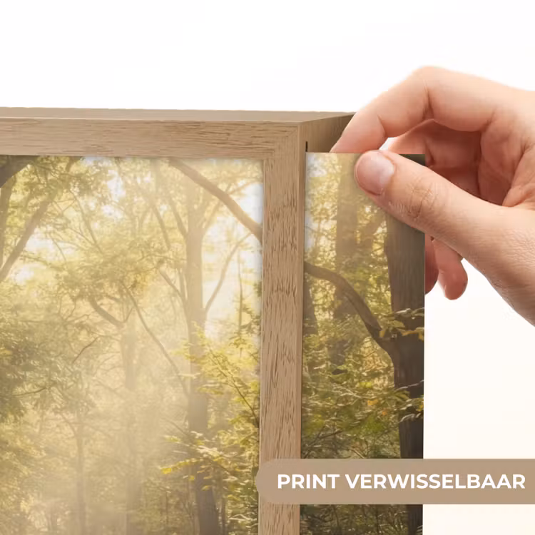 Lightbox - Wandlamp - Zonlicht - Bospad - Bomen — 5