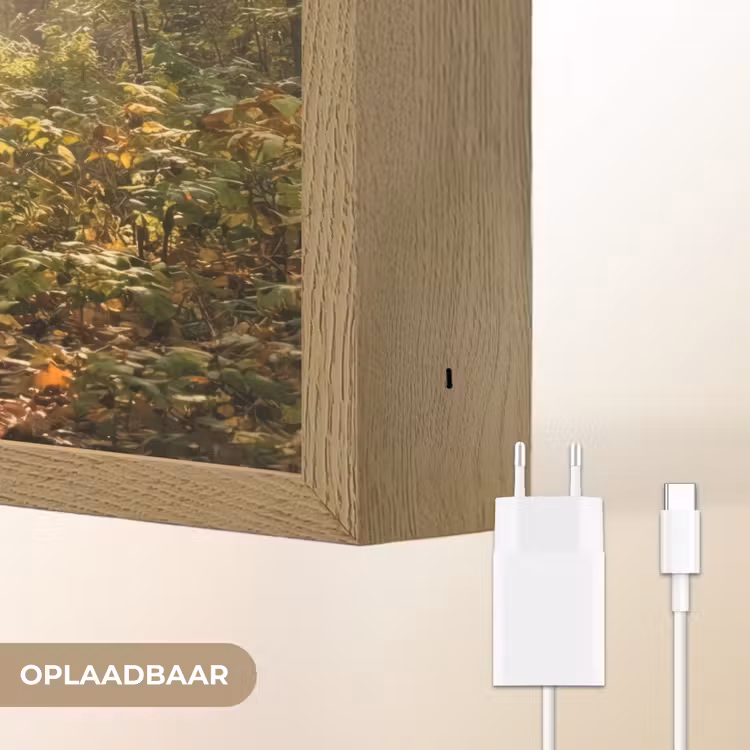 Lightbox - Wandlamp - Zonlicht - Bospad - Bomen — 7