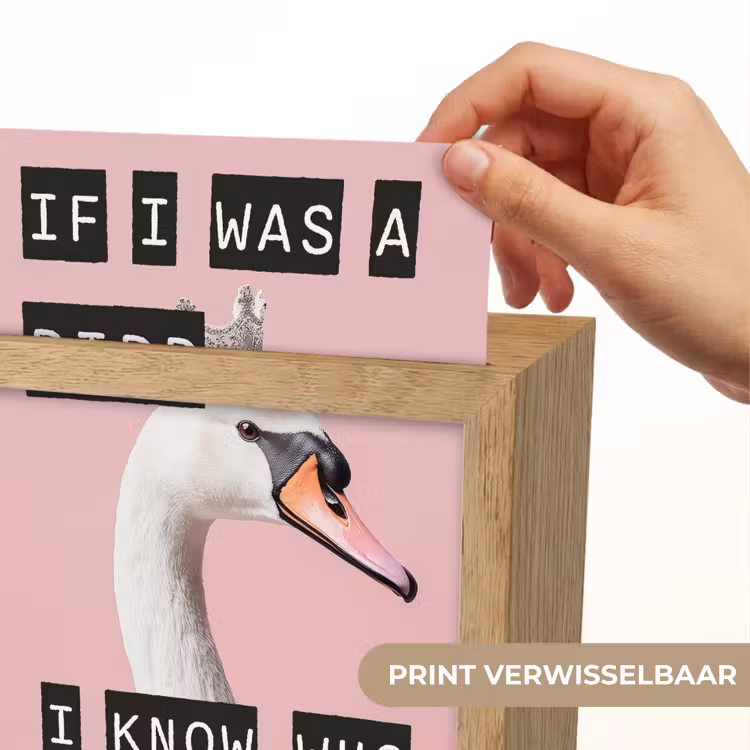 Lightbox - Wandlamp - Zwaan - Vogel - Decoratie - Roze — 6