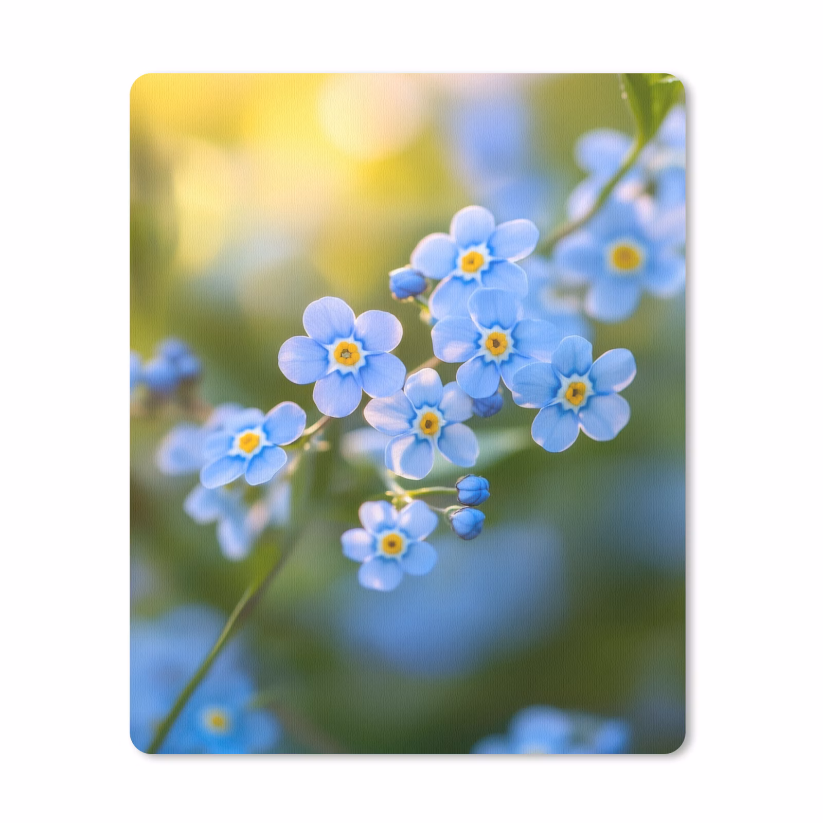 Muismat - Bloemetjes - Blauw - Vergeet mij nietjes — 1