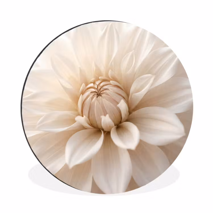 Muurcirkel aluminium Bloem - Dahlia - Wit — 1