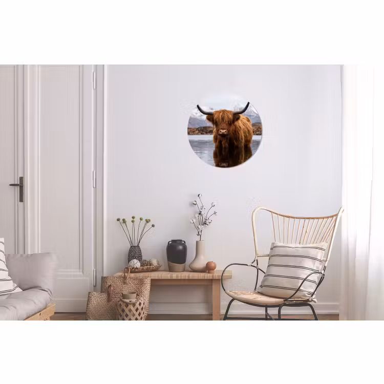 Muurcirkel aluminium Schotse hooglander - Bruin - Water — 2