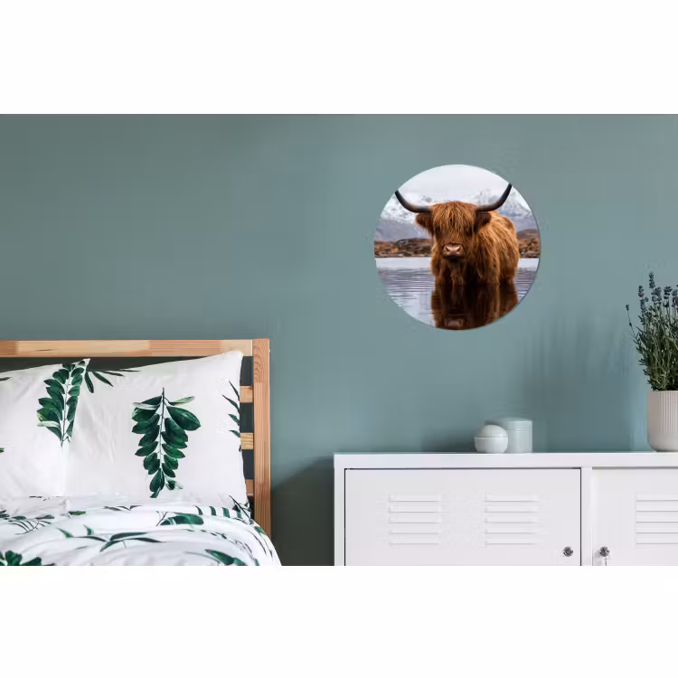 Muurcirkel aluminium Schotse hooglander - Bruin - Water — 4