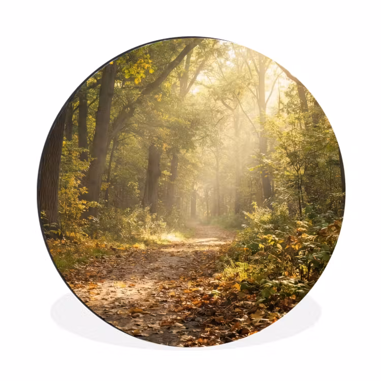 Muurcirkel aluminium Zonlicht - Bospad - Bomen — 1