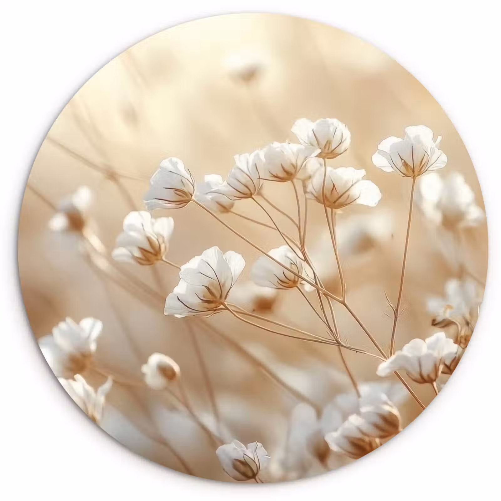 Muurcirkel - Wilde - Bloemen - Wit — 1