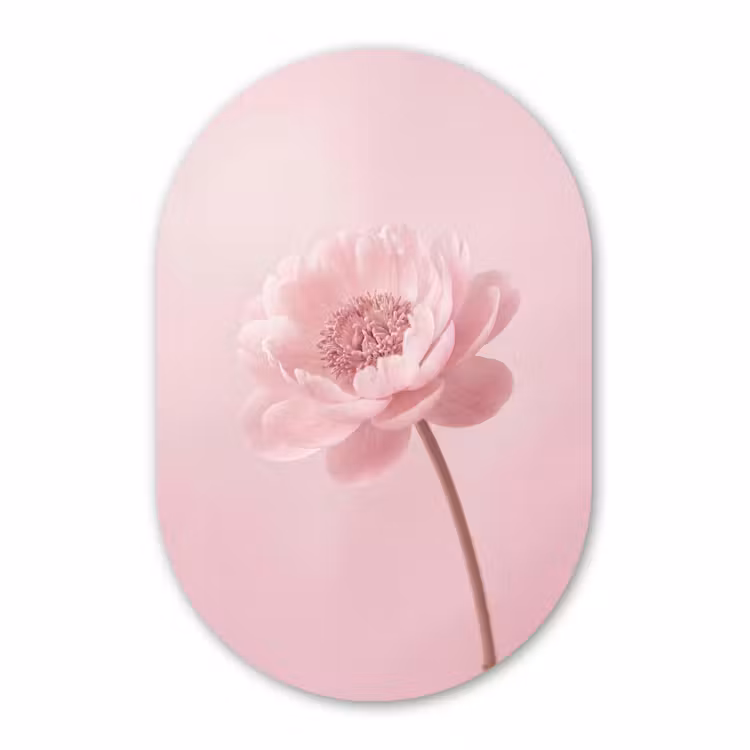 Muurovaal - Bloem - Pioenroos - Roze — 3