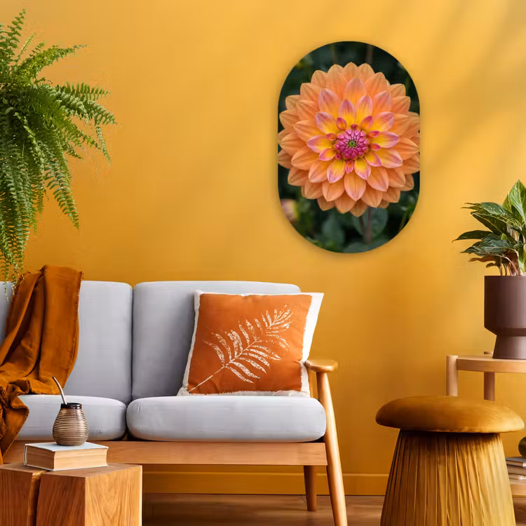 Muurovaal - Dahlia - Bloem - Oranje — 1