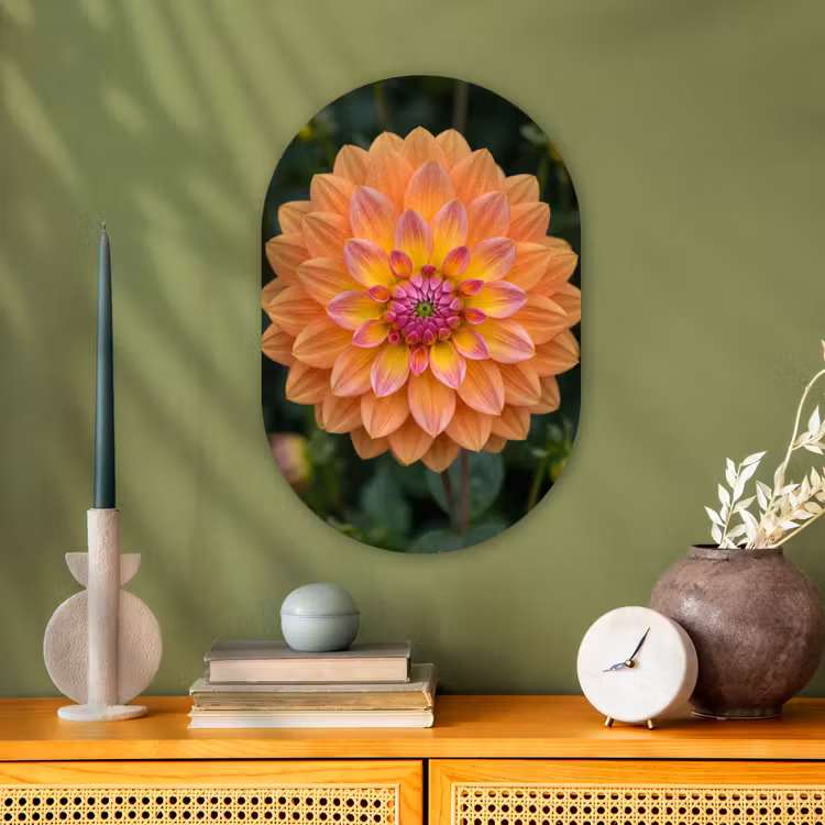 Muurovaal - Dahlia - Bloem - Oranje — 2