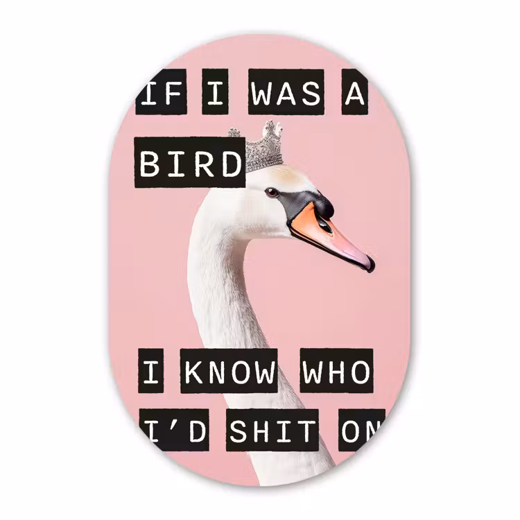 Muurovaal glas - Zwaan - Vogel - Decoratie - Roze — 1