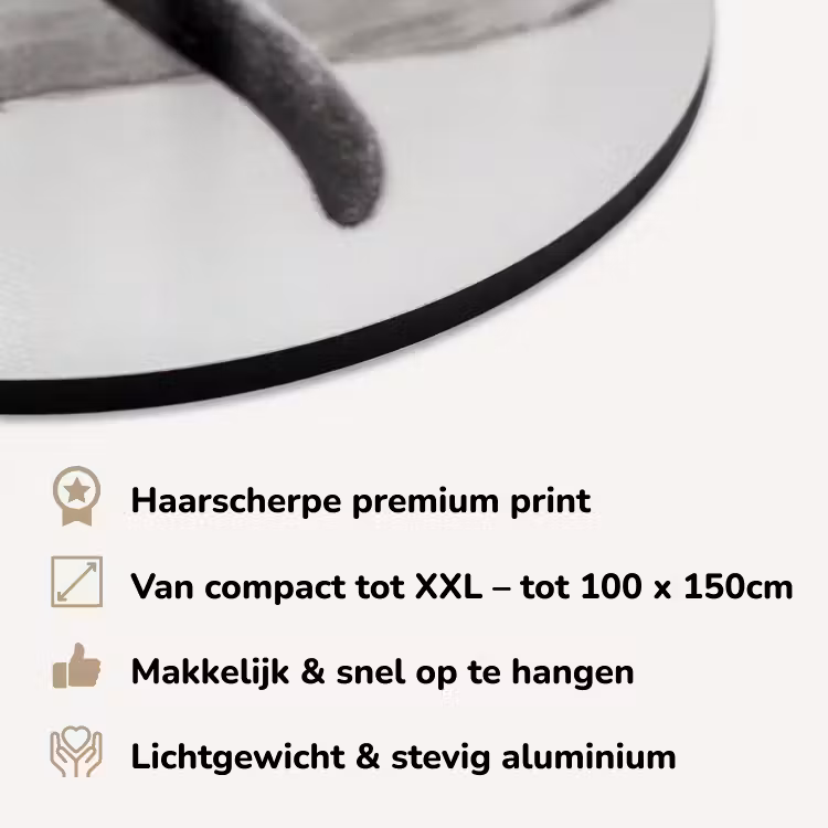 Muurovaal met foto - Aluminium — 3