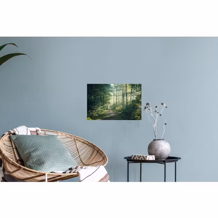 Muursticker - Bos - Pad - Zon - Bomen - Groen - Natuur — 4