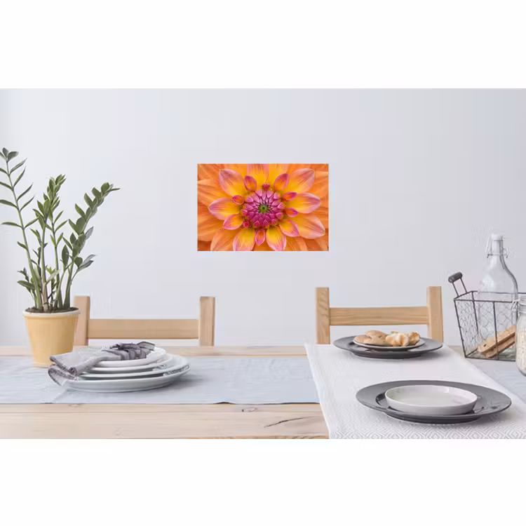 Muursticker - Dahlia - Bloem - Oranje — 3