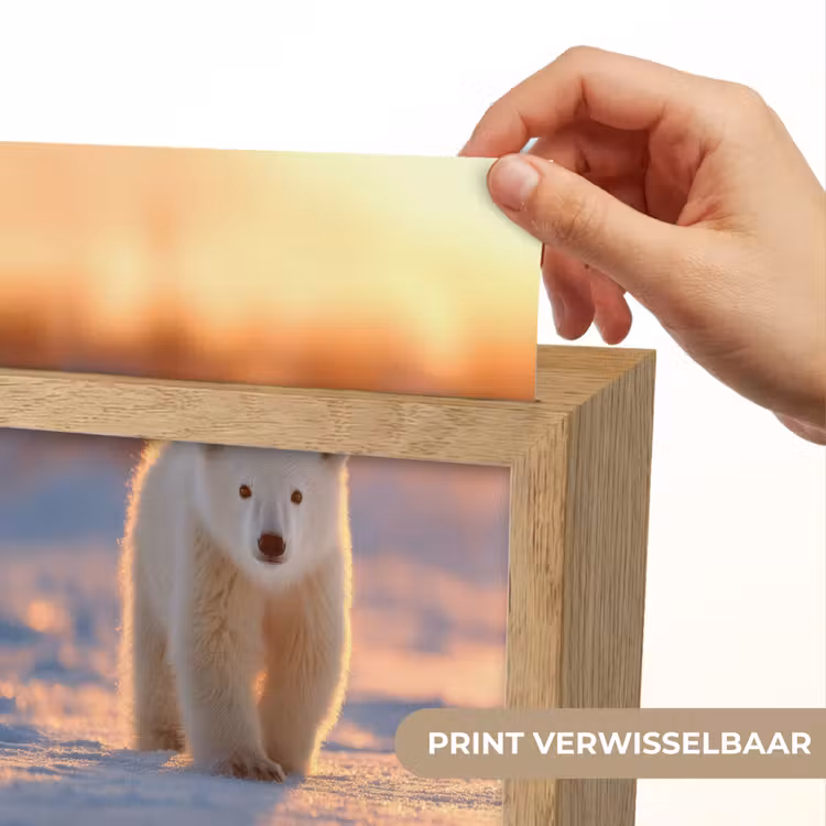 Nachtlampje - Ijsbeer - Sneeuw - Zonsopgang — 4