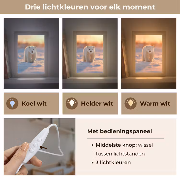 Nachtlampje - Ijsbeer - Sneeuw - Zonsopgang — 7
