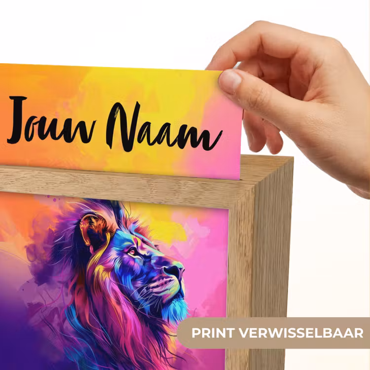 Nachtlampje met naam - Leeuw - Verf- Kleuren - Dier — 4
