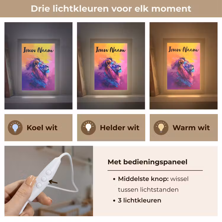 Nachtlampje met naam - Leeuw - Verf- Kleuren - Dier — 7