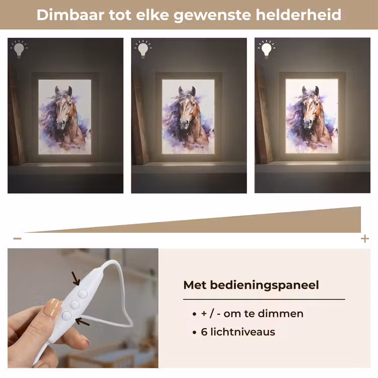 Nachtlampje - Paard - Dieren - Meisjes - Paars - Bruin — 6