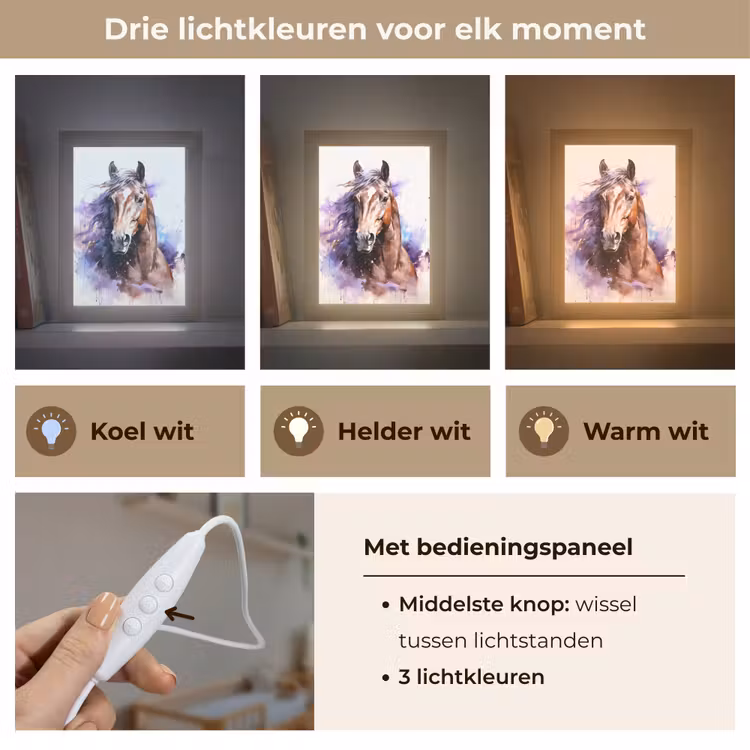 Nachtlampje - Paard - Dieren - Meisjes - Paars - Bruin — 7