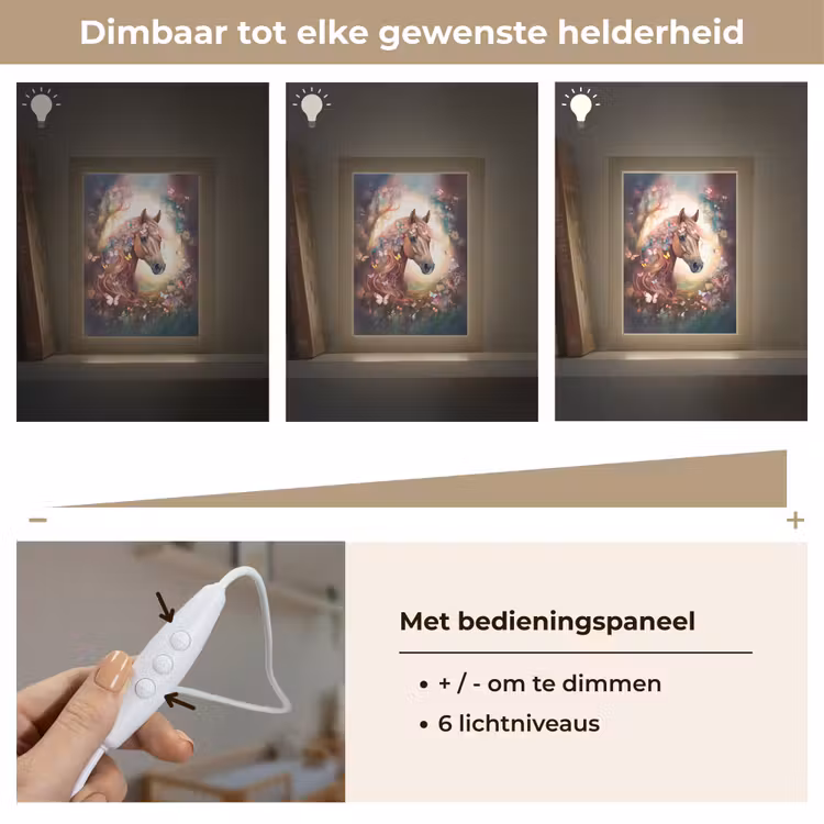 Nachtlampje - Paard - Natuur - Bloemen - Vlinders - Bos — 6