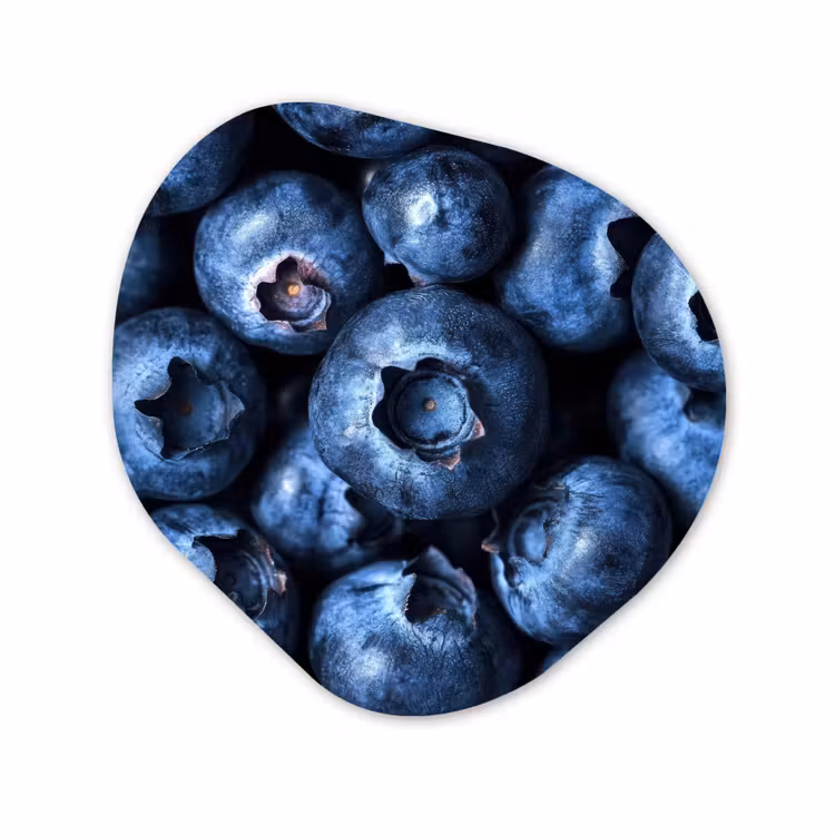 Organisch schilderij aluminium - Bessen - Blauw - Fruit — 1
