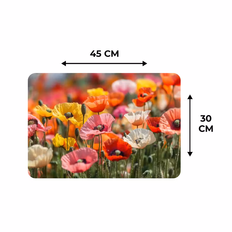 Placemat - 6 stuks - Bloemenveld - Klaprozen - Kleurrijk — 3