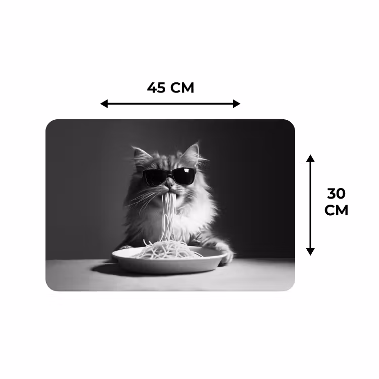 Placemat - 6 stuks - Langharige kat - Zonnebril - Spaghetti - Humor - Zwart - wit — 3