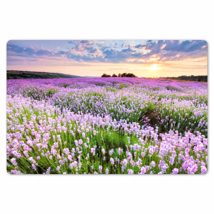 Placemat - 6 stuks - Lavendel - Bloemen - Zonsondergang - Paars - Weide — 6