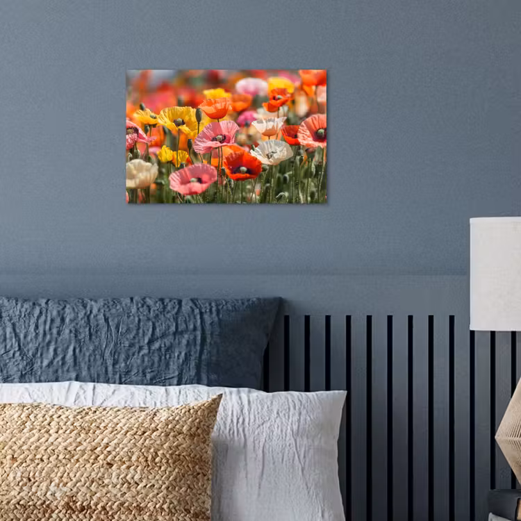 Poster - Bloemenveld - Klaprozen - Kleurrijk — 3