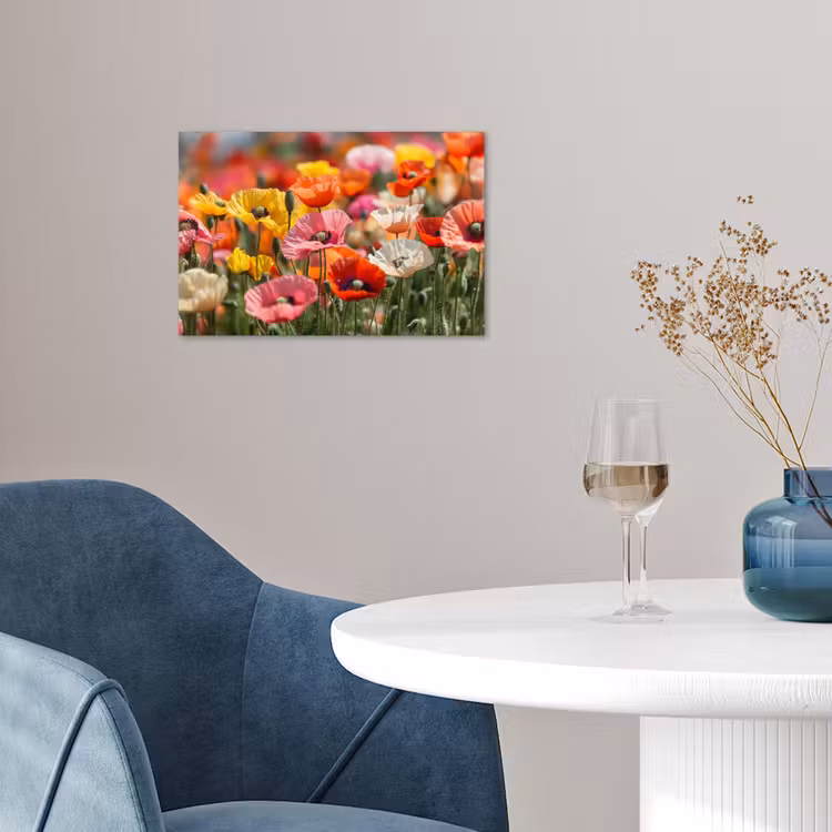 Poster - Bloemenveld - Klaprozen - Kleurrijk — 4
