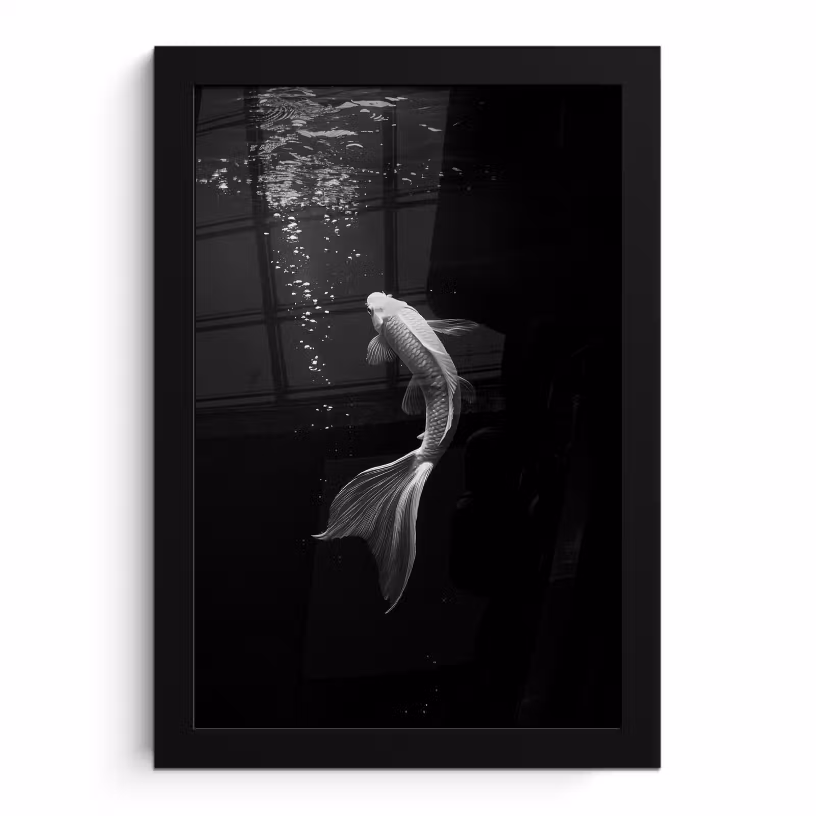 Poster met lijst - Koi - Vis - Wit - Zwart — 1