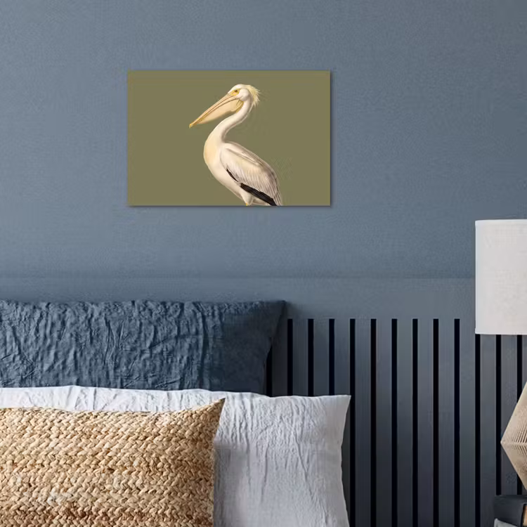 Poster - Pelikaan - Wit - Vogel - Klassiek - Natuur — 3