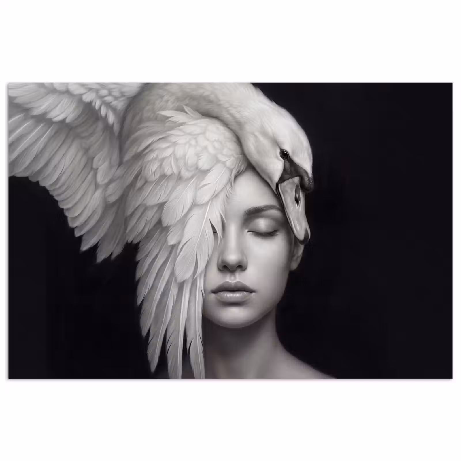 Poster - Portret - Zwaan - Zwart - Wit — 1