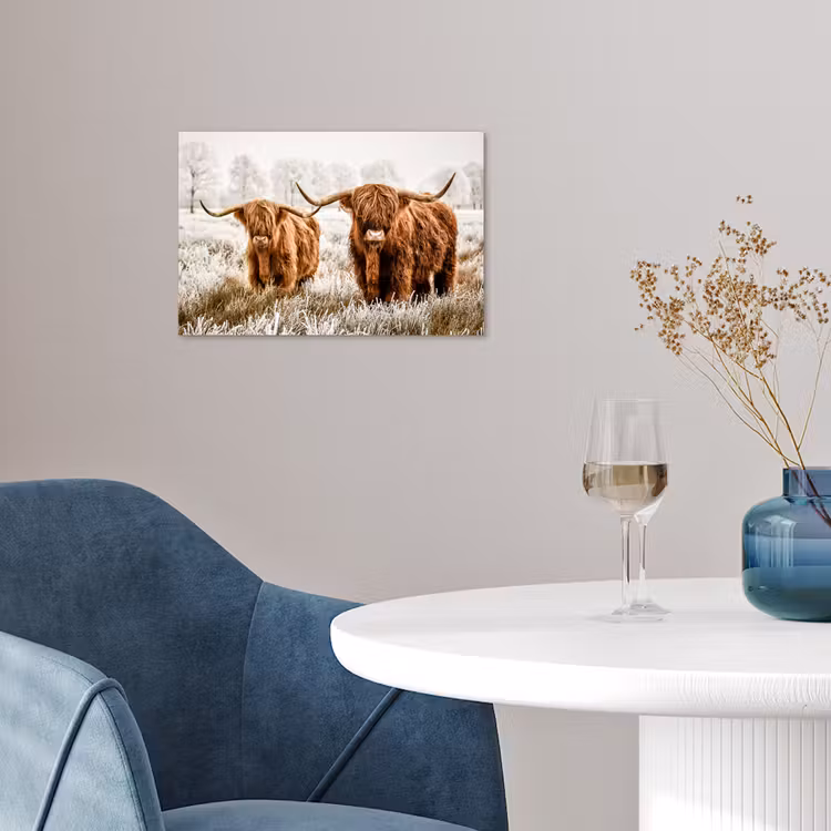 Poster - Schotse hooglander - Koe - Natuur - Winter — 4