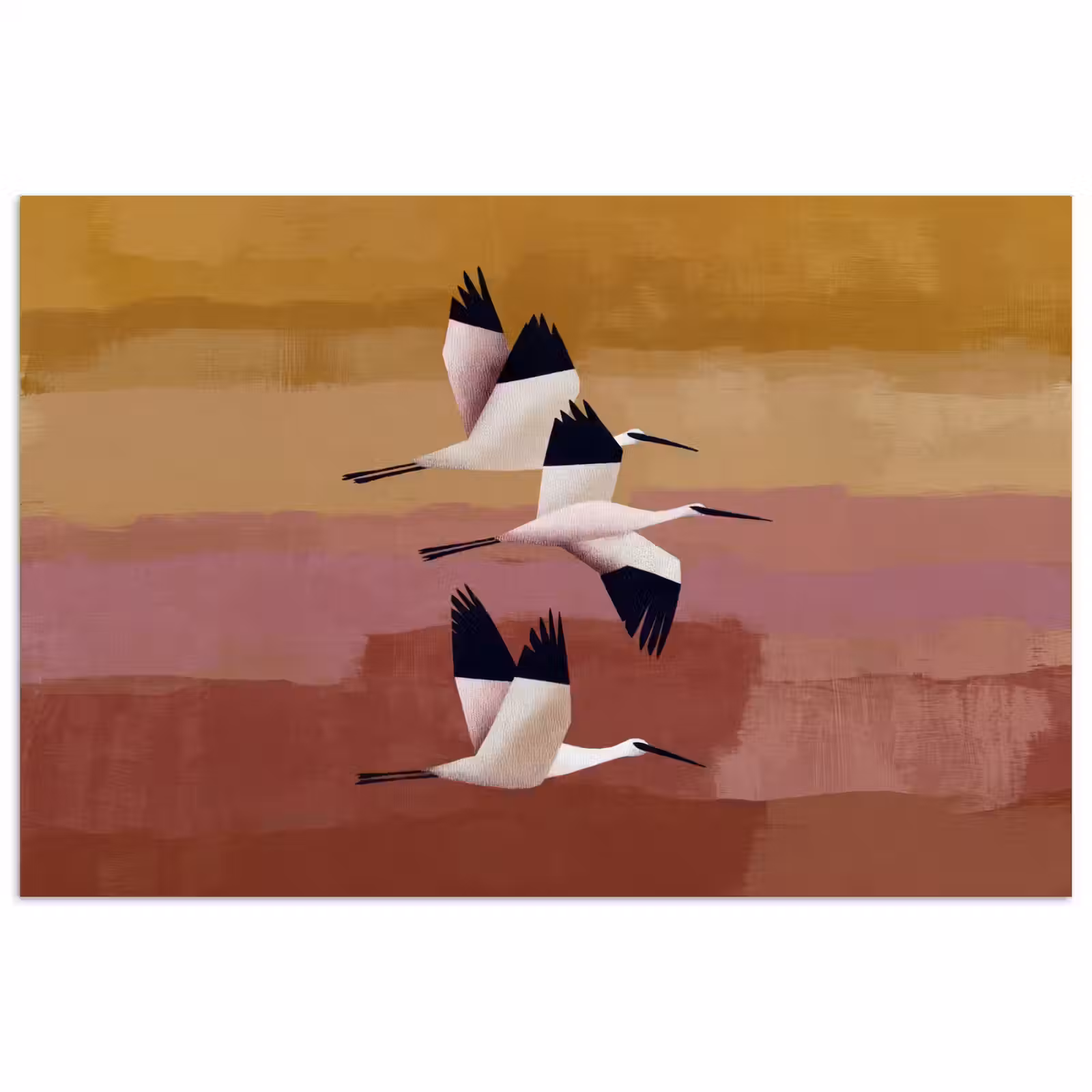 Poster - Vogels - Snavel - Abstract — 1