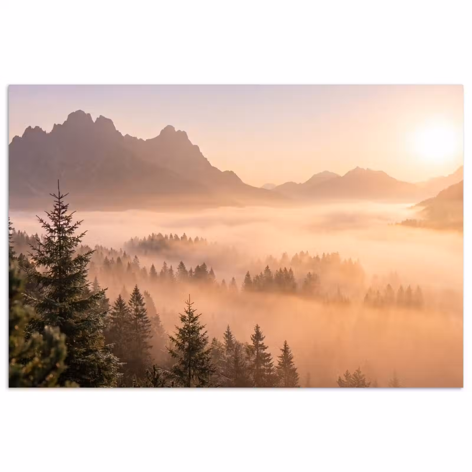 Poster - Zonlicht - Mist - Bergen - Bomen — 1