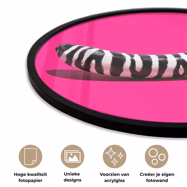 Ronde fotolijst - Banaan - Zebraprint - Roze — 2