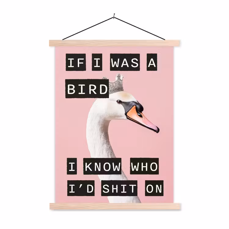 Schoolplaat - Zwaan - Vogel - Decoratie - Roze — 1