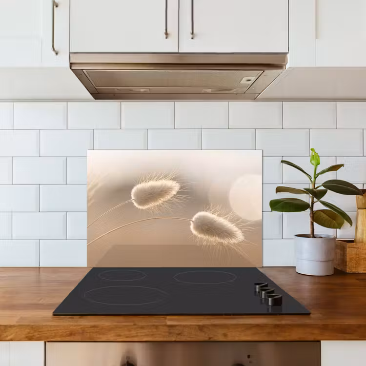 Spatscherm keuken - Hazestaartgras - Graanharen - Zonlicht — 6