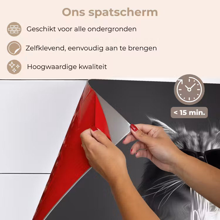 Spatscherm keuken - Langharige kat - Zonnebril - Spaghetti - Humor - Zwart - wit — 4