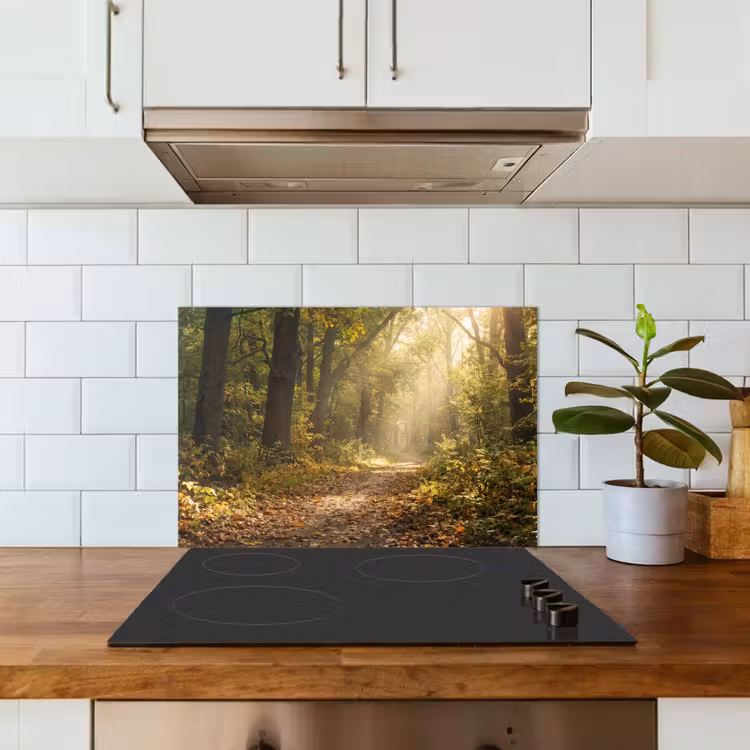 Spatscherm keuken - Zonlicht - Bospad - Bomen — 6