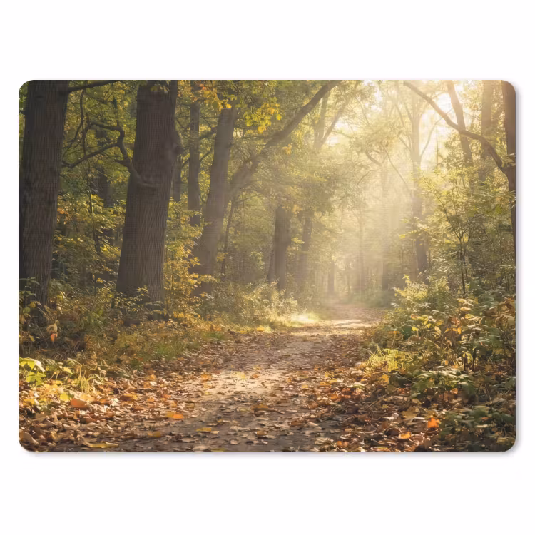 Muismat - Zonlicht - Bospad - Bomen — 1