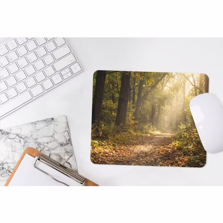 Muismat - Zonlicht - Bospad - Bomen — 2