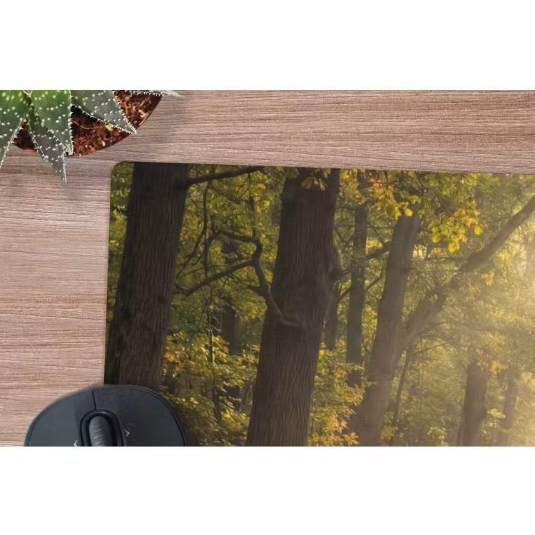 Muismat - Zonlicht - Bospad - Bomen — 4