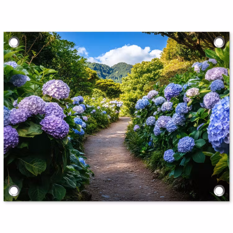 Tuinposter - Hortsensia - Pad - Bloemen — 1