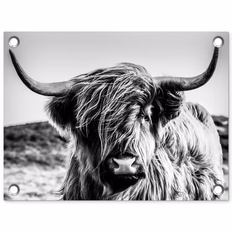 Tuinposter - Koe - Schotse hooglander - Zwart - Wit - Dier - Natuur - Wild — 1