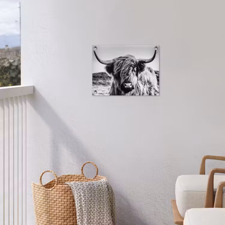 Tuinposter - Koe - Schotse hooglander - Zwart - Wit - Dier - Natuur - Wild — 3