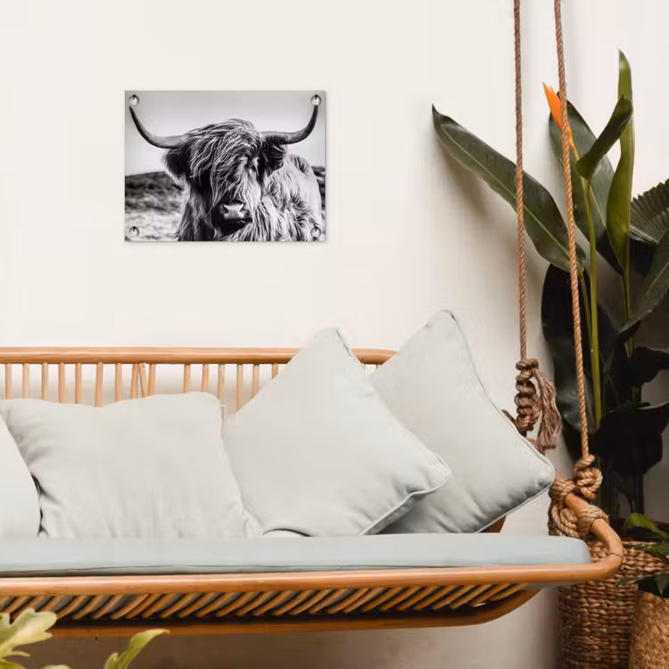 Tuinposter - Koe - Schotse hooglander - Zwart - Wit - Dier - Natuur - Wild — 5