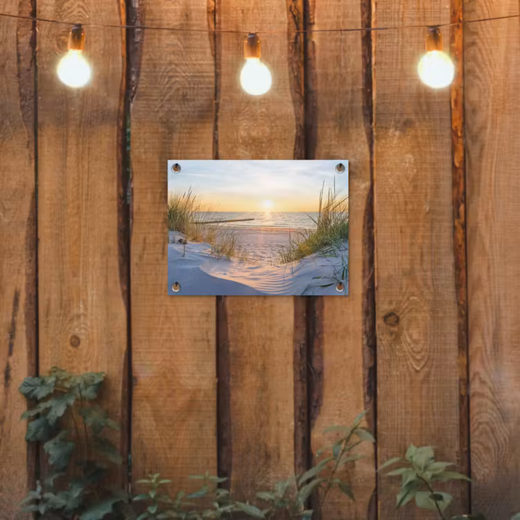 Tuinposter - Strand - Zon - Duin - Gras - Zand - Horizon — 2