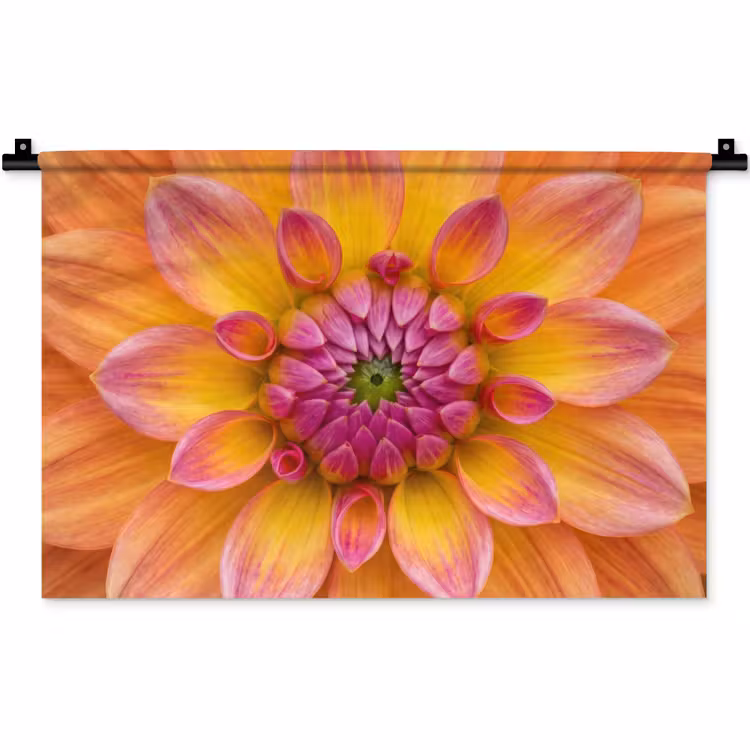 Wandkleed - Dahlia - Bloem - Oranje — 1