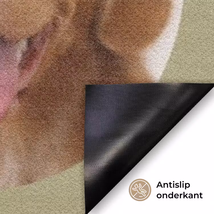 Gepersonaliseerde deurmat Eigen - Foto's - Rond — 6